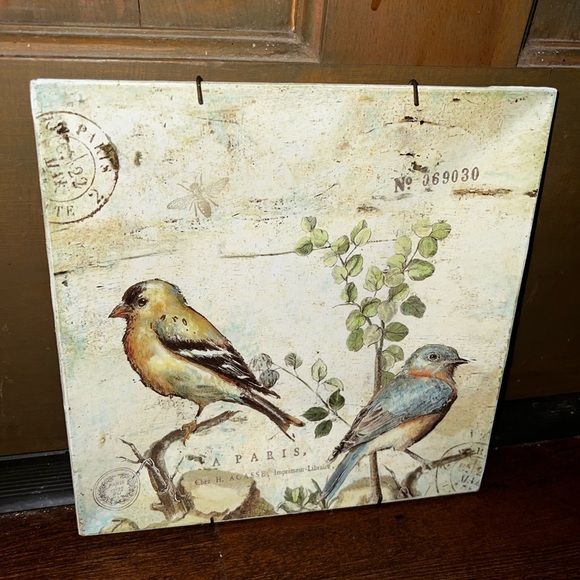 ⭐️Outdoor Living Bird Art Print Square Plate Decor Hobby Lobby - Picture 5 of 7